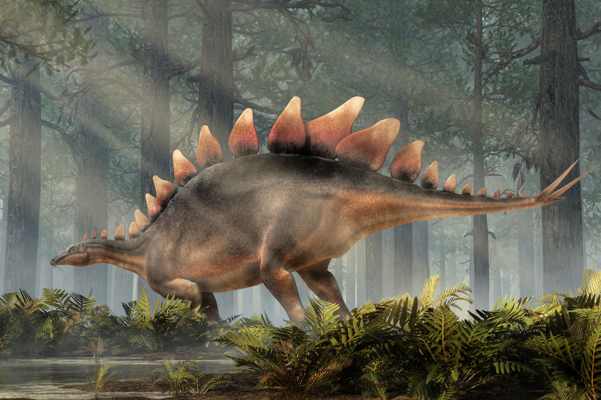 stegosaurus-dinosaurus